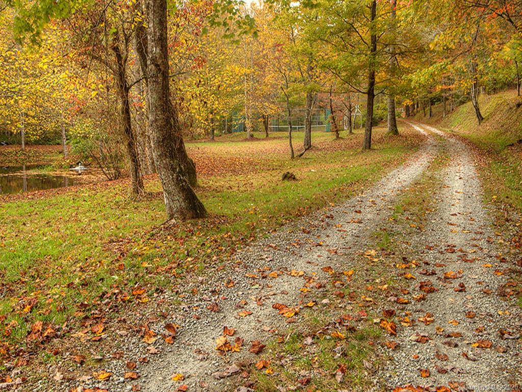 361 Rooster Cove Road Brevard NC 28712