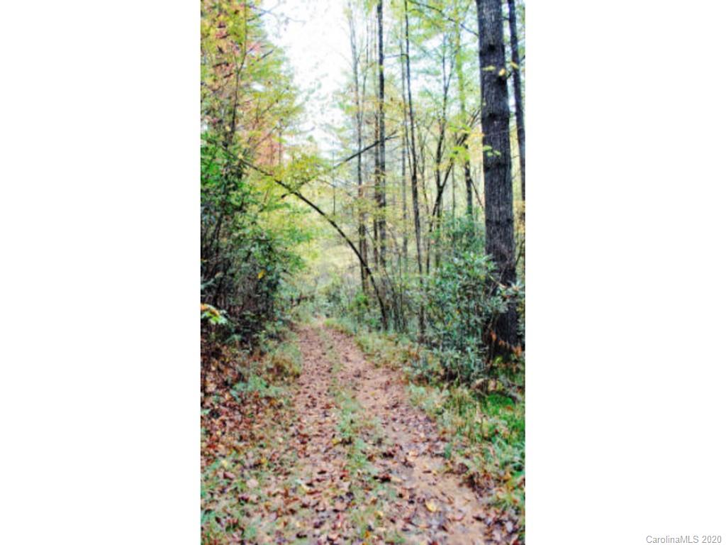 361 Rooster Cove Road Brevard NC 28712