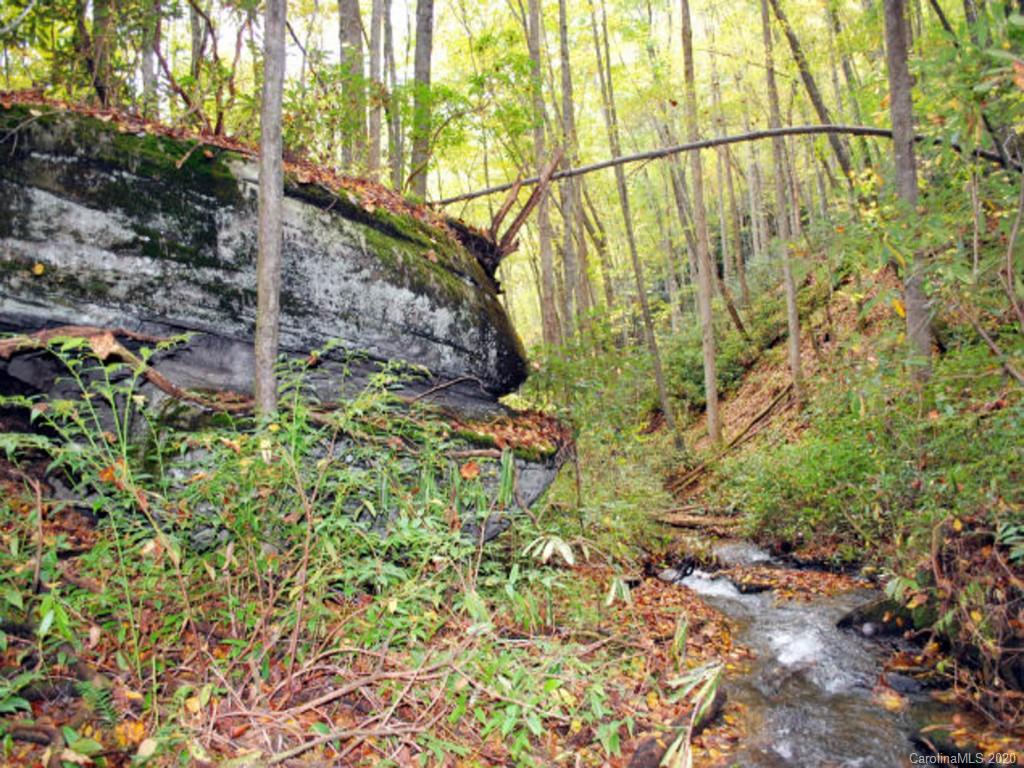 361 Rooster Cove Road Brevard NC 28712
