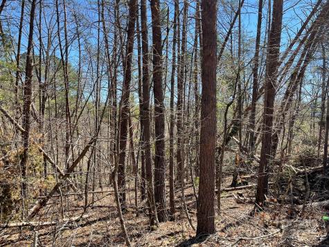 84 Union Chapel Road Weaverville NC 28787