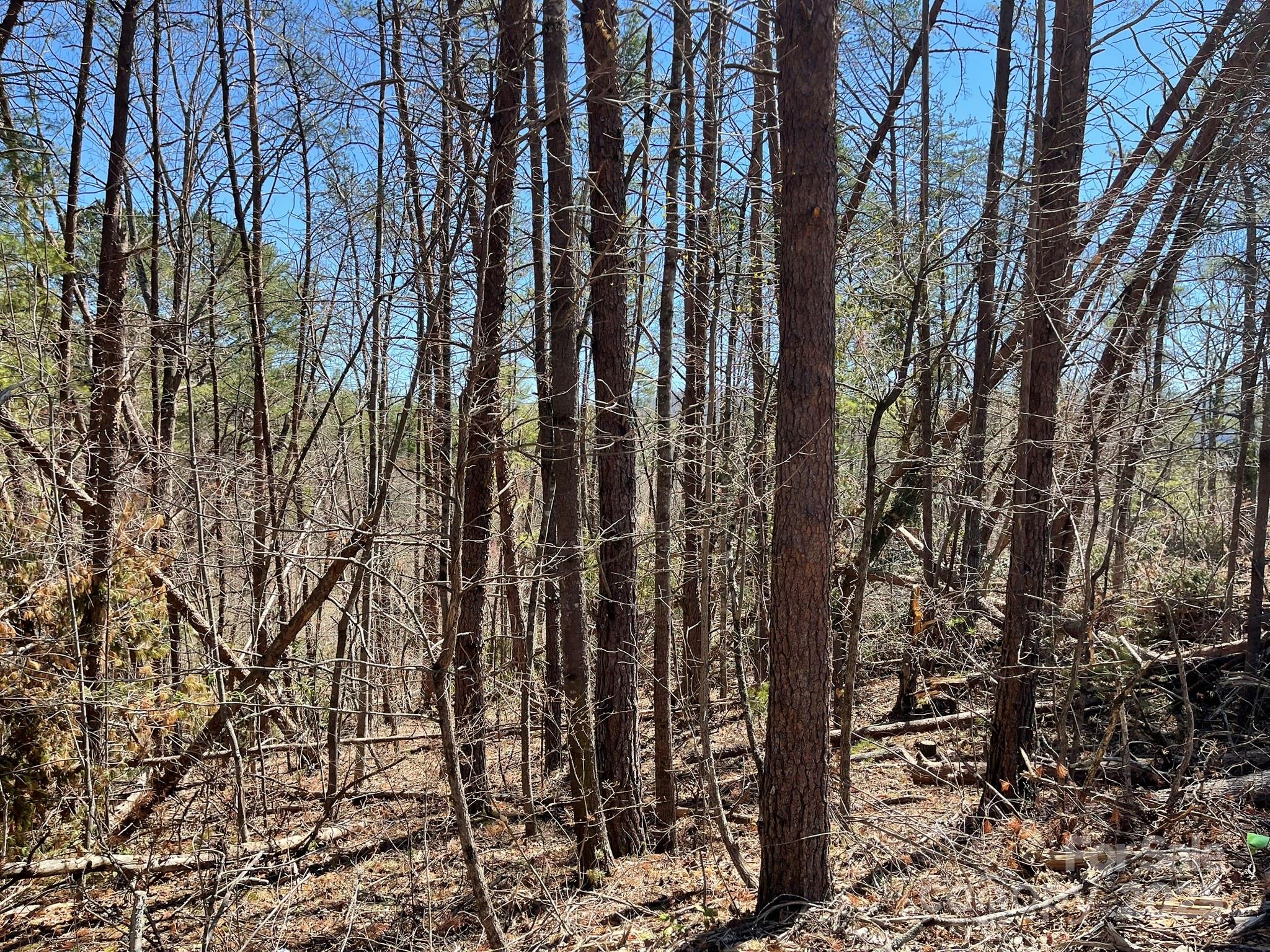 84 Union Chapel Road Weaverville NC 28787