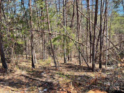 84 Union Chapel Road Weaverville NC 28787