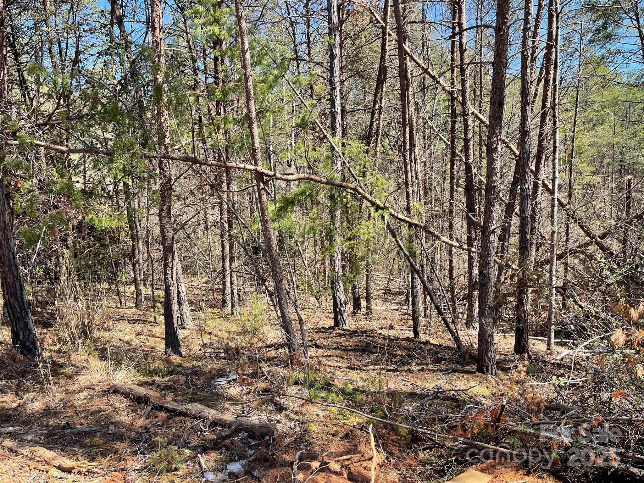 84 Union Chapel Road Weaverville NC 28787