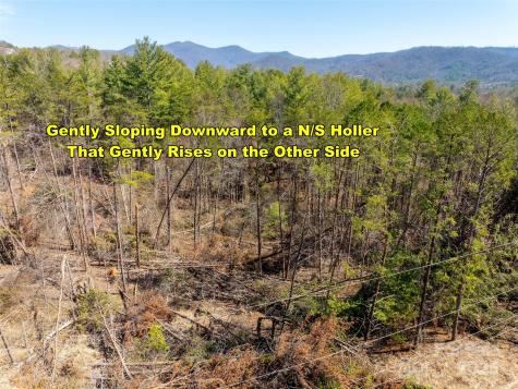 84 Union Chapel Road Weaverville NC 28787