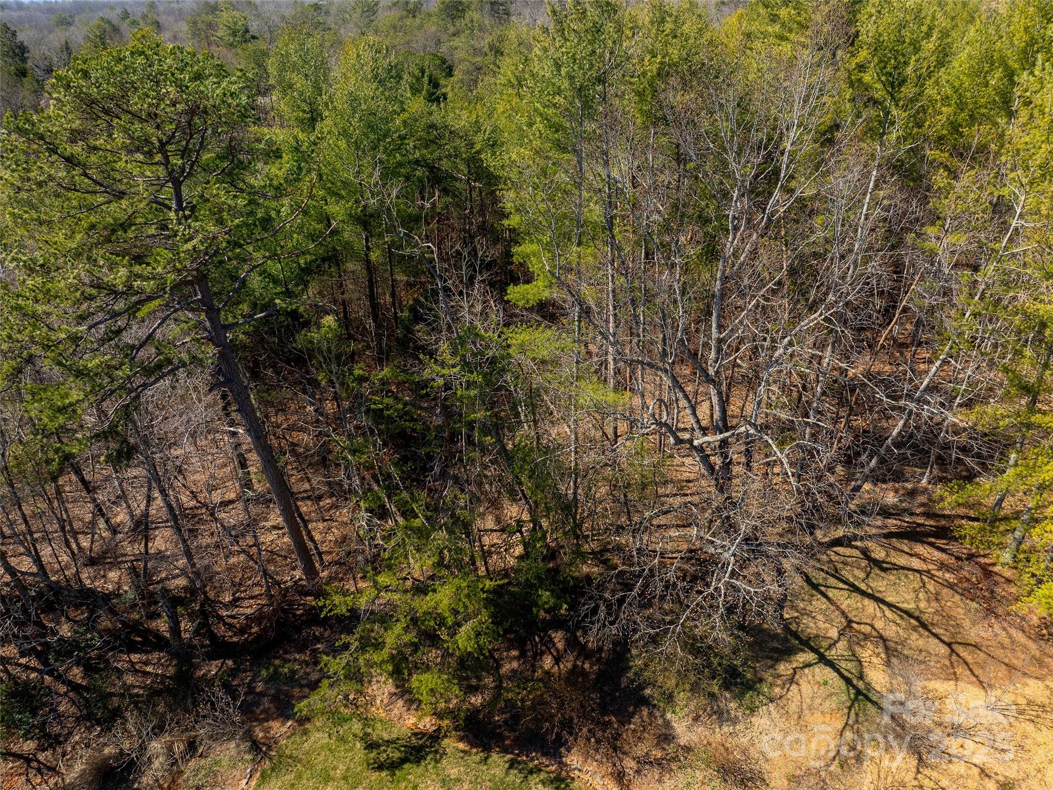 84 Union Chapel Road Weaverville NC 28787