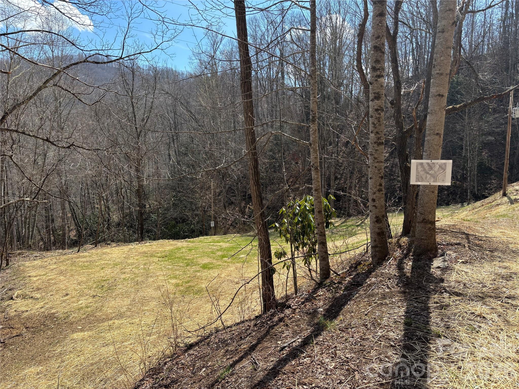 (South Lot) Meadow Fork Road Hot Springs NC 28743