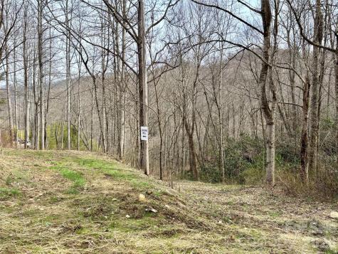 (South Lot) Meadow Fork Road Hot Springs NC 28743