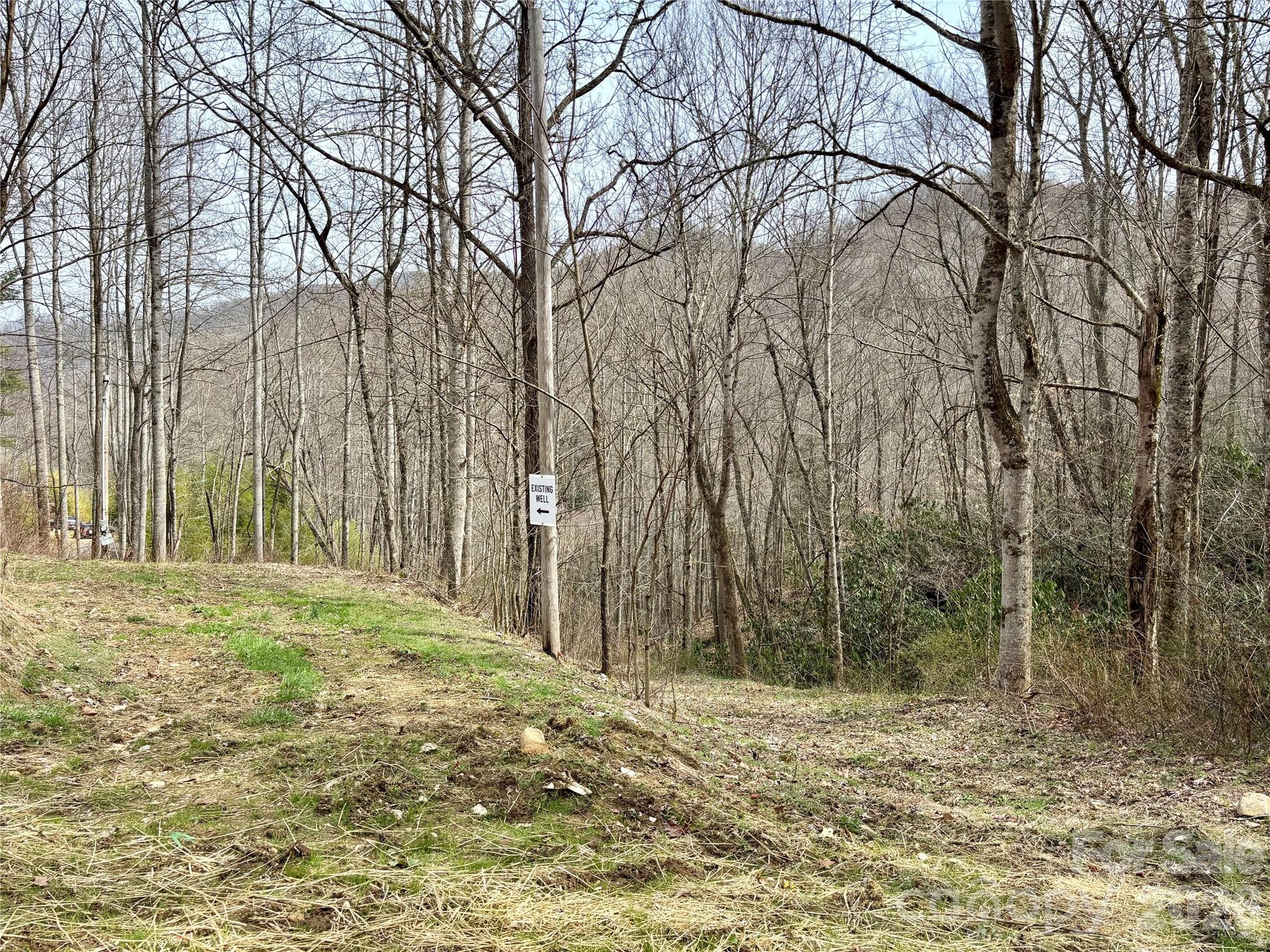 (South Lot) Meadow Fork Road Hot Springs NC 28743
