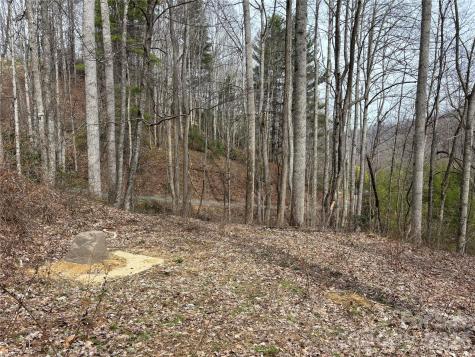(South Lot) Meadow Fork Road Hot Springs NC 28743