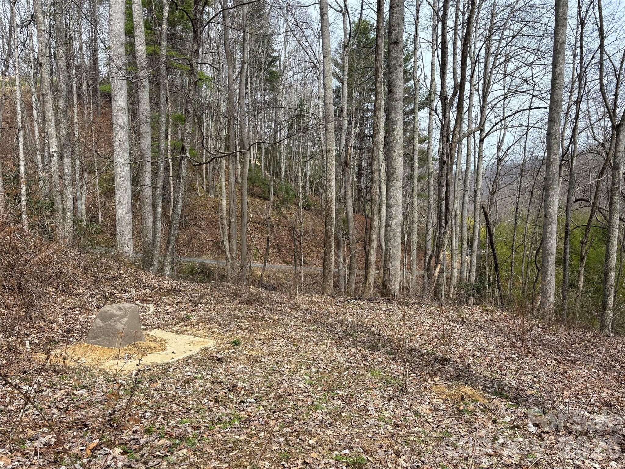 (South Lot) Meadow Fork Road Hot Springs NC 28743