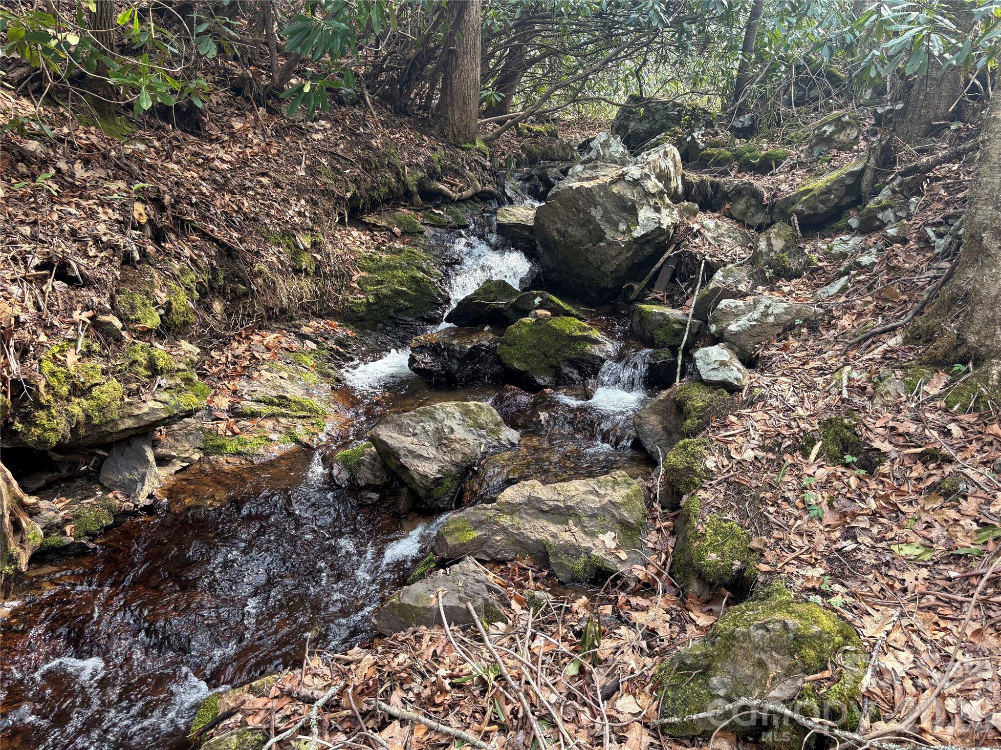 (South Lot) Meadow Fork Road Hot Springs NC 28743
