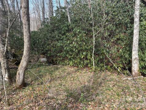 (South Lot) Meadow Fork Road Hot Springs NC 28743