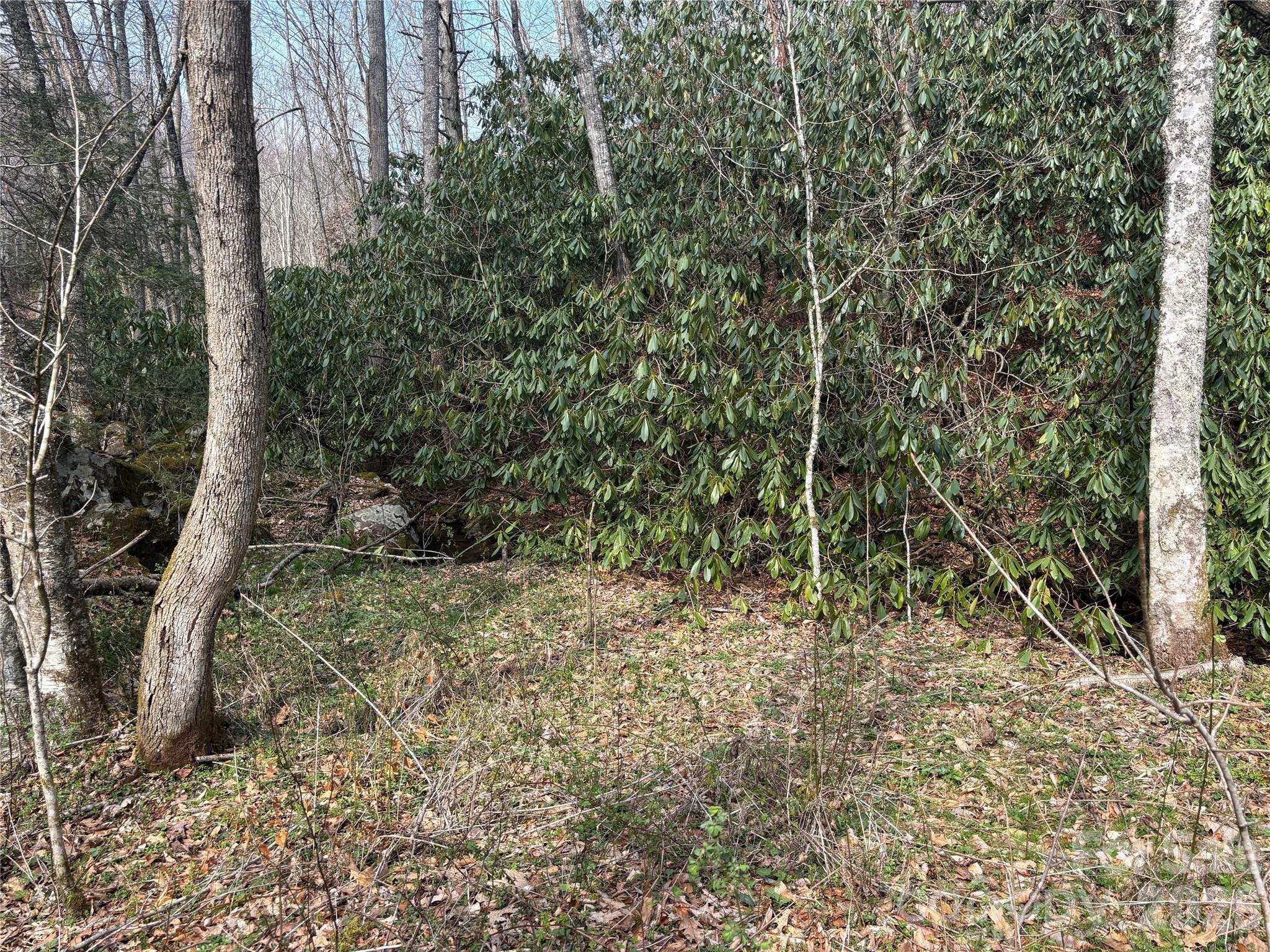 (South Lot) Meadow Fork Road Hot Springs NC 28743