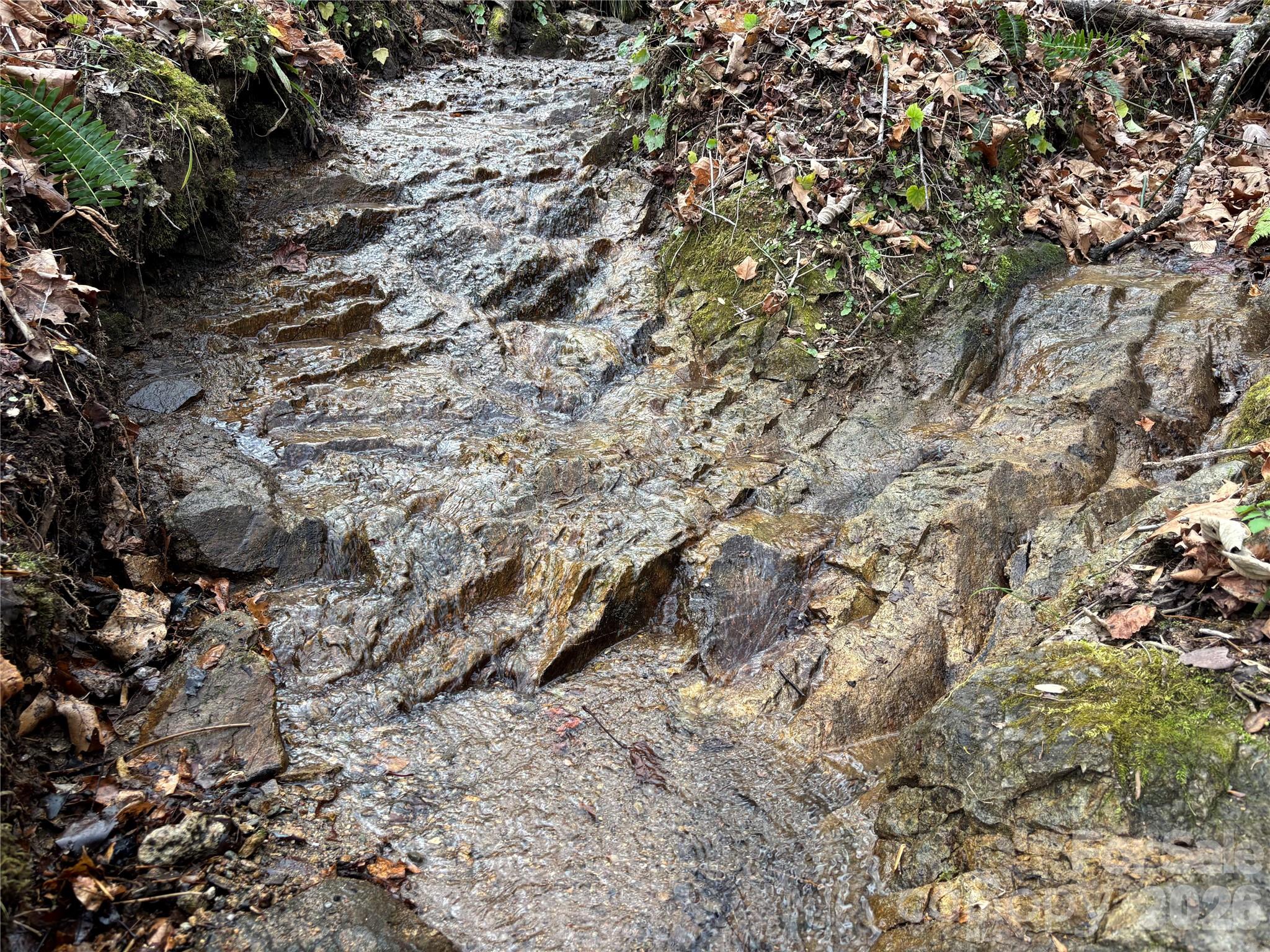 (South Lot) Meadow Fork Road Hot Springs NC 28743