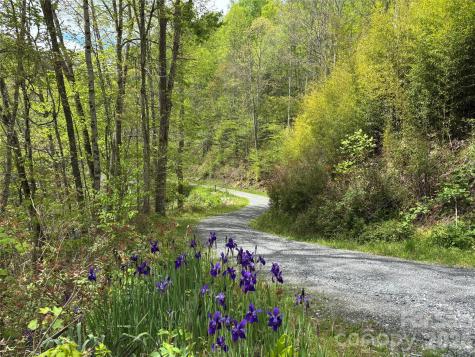 (South Lot) Meadow Fork Road Hot Springs NC 28743