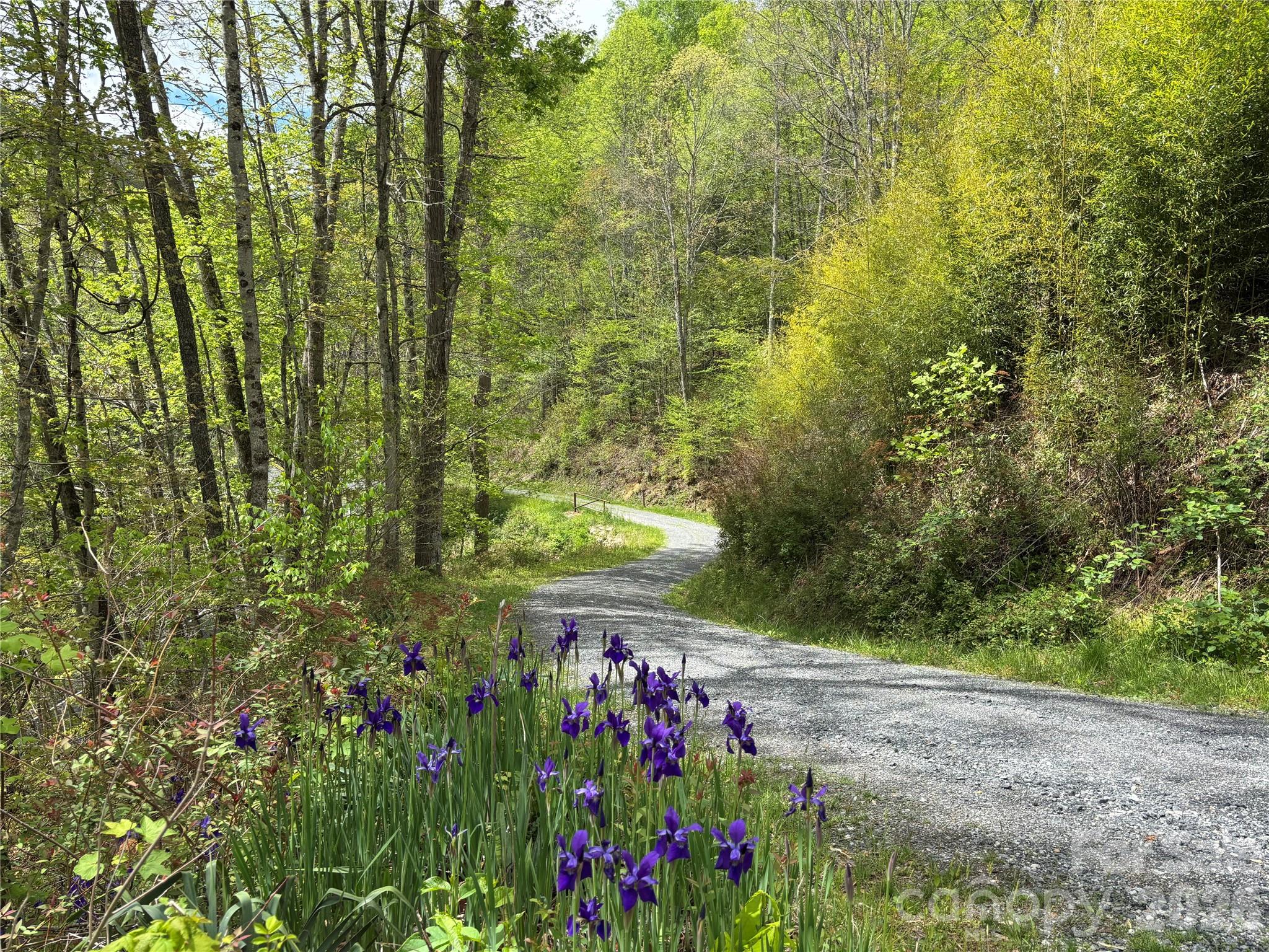 (South Lot) Meadow Fork Road Hot Springs NC 28743