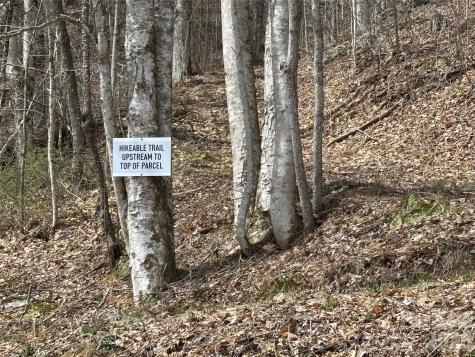 (South Lot) Meadow Fork Road Hot Springs NC 28743