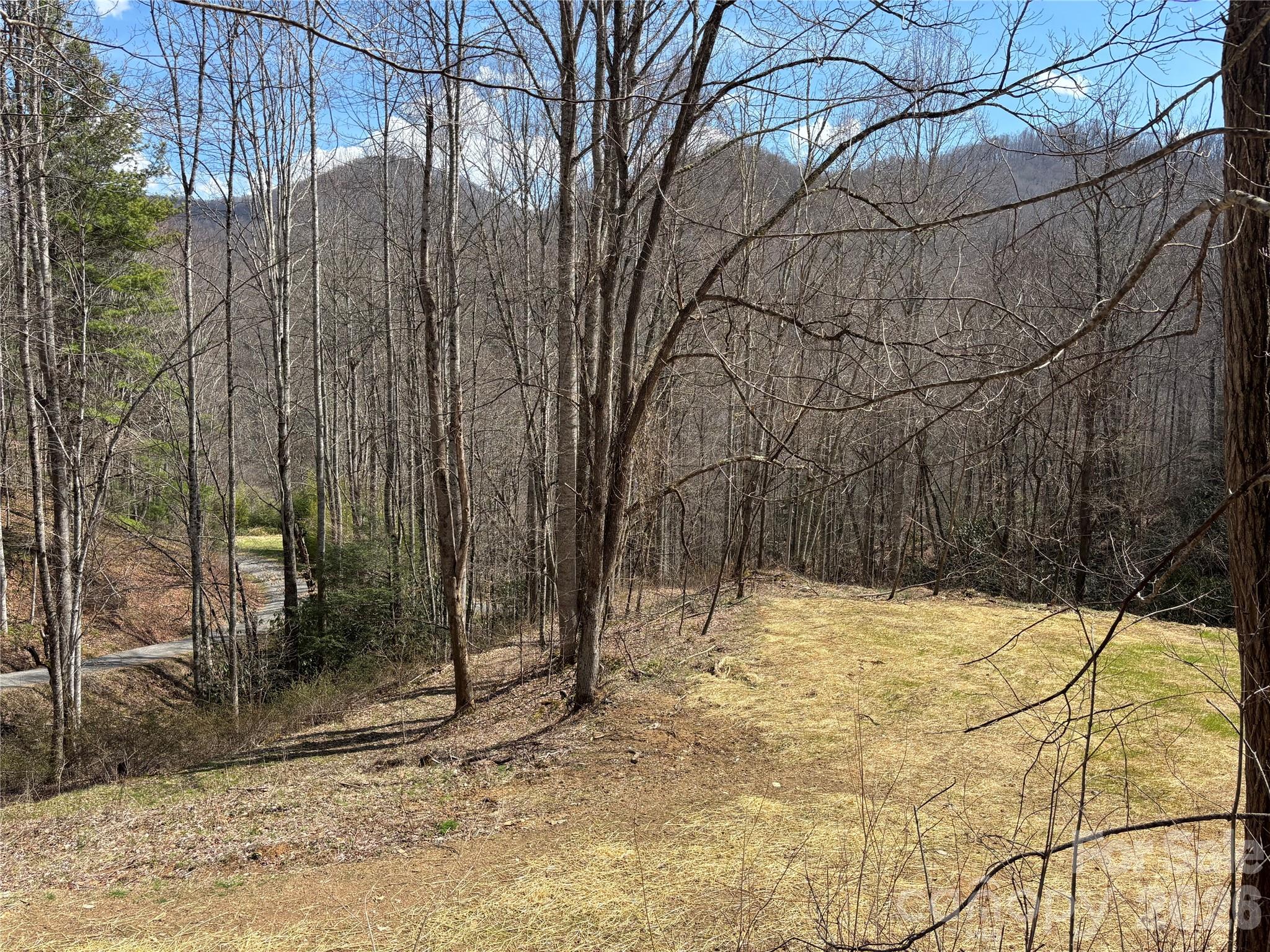 (South Lot) Meadow Fork Road Hot Springs NC 28743