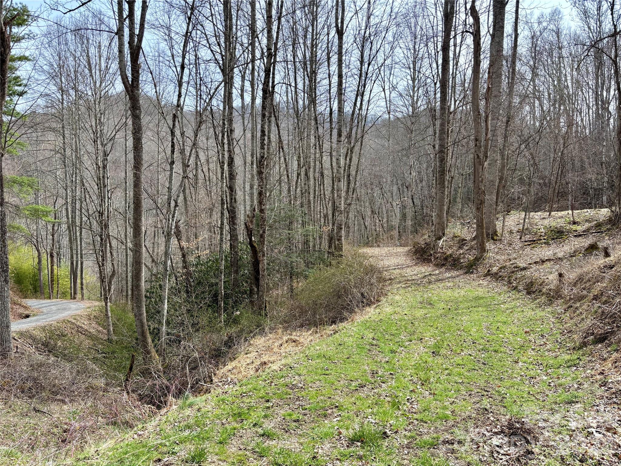 (South Lot) Meadow Fork Road Hot Springs NC 28743