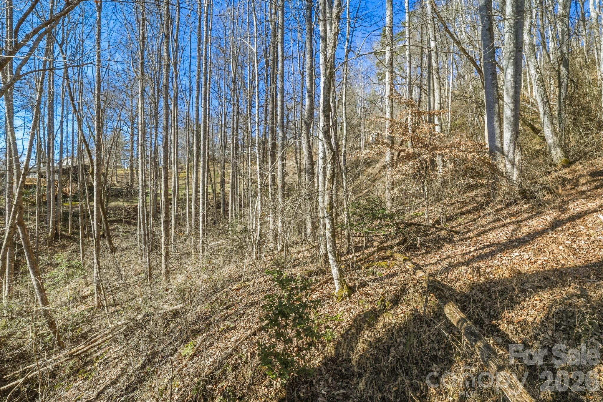 000 Briarwood Road Webster NC 28788
