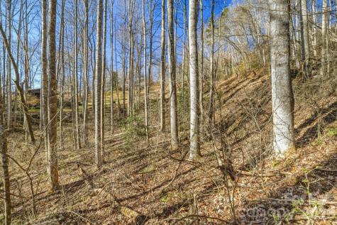 000 Briarwood Road Webster NC 28788