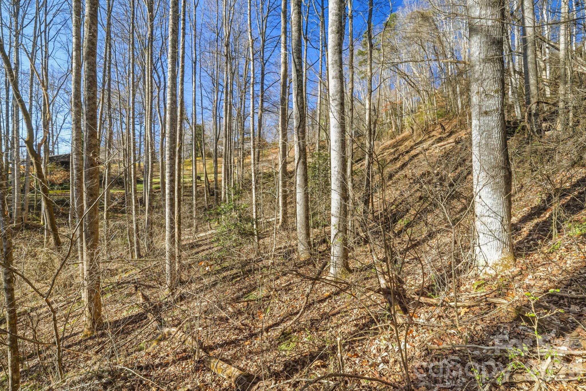 000 Briarwood Road Webster NC 28788