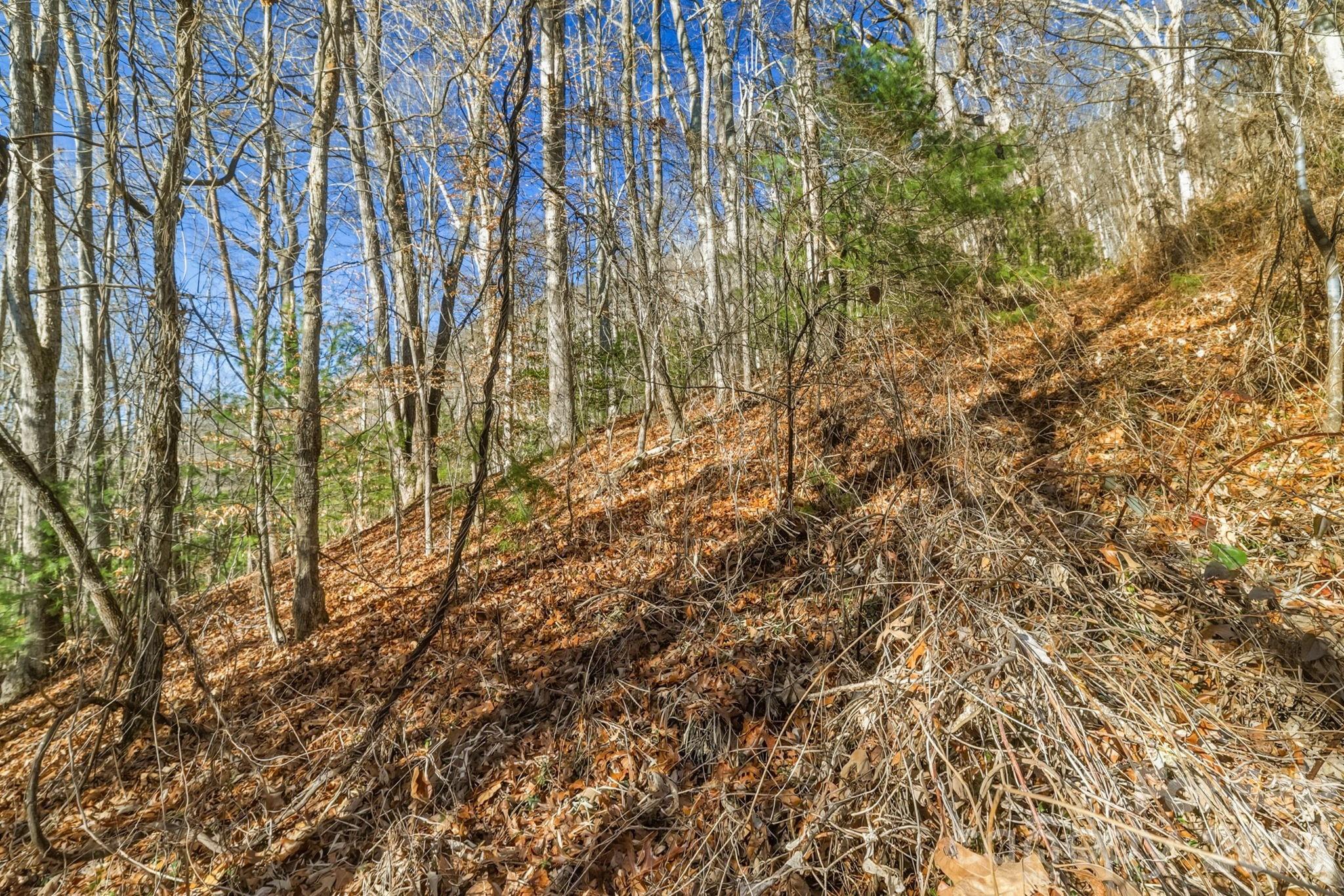 000 Briarwood Road Webster NC 28788
