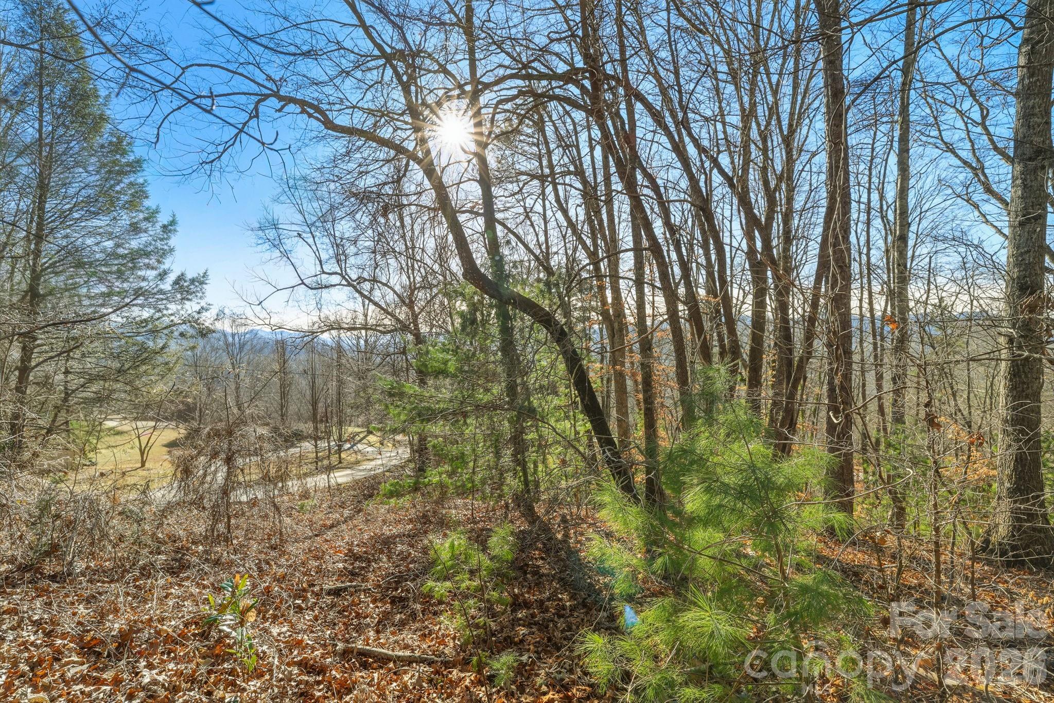000 Briarwood Road Webster NC 28788