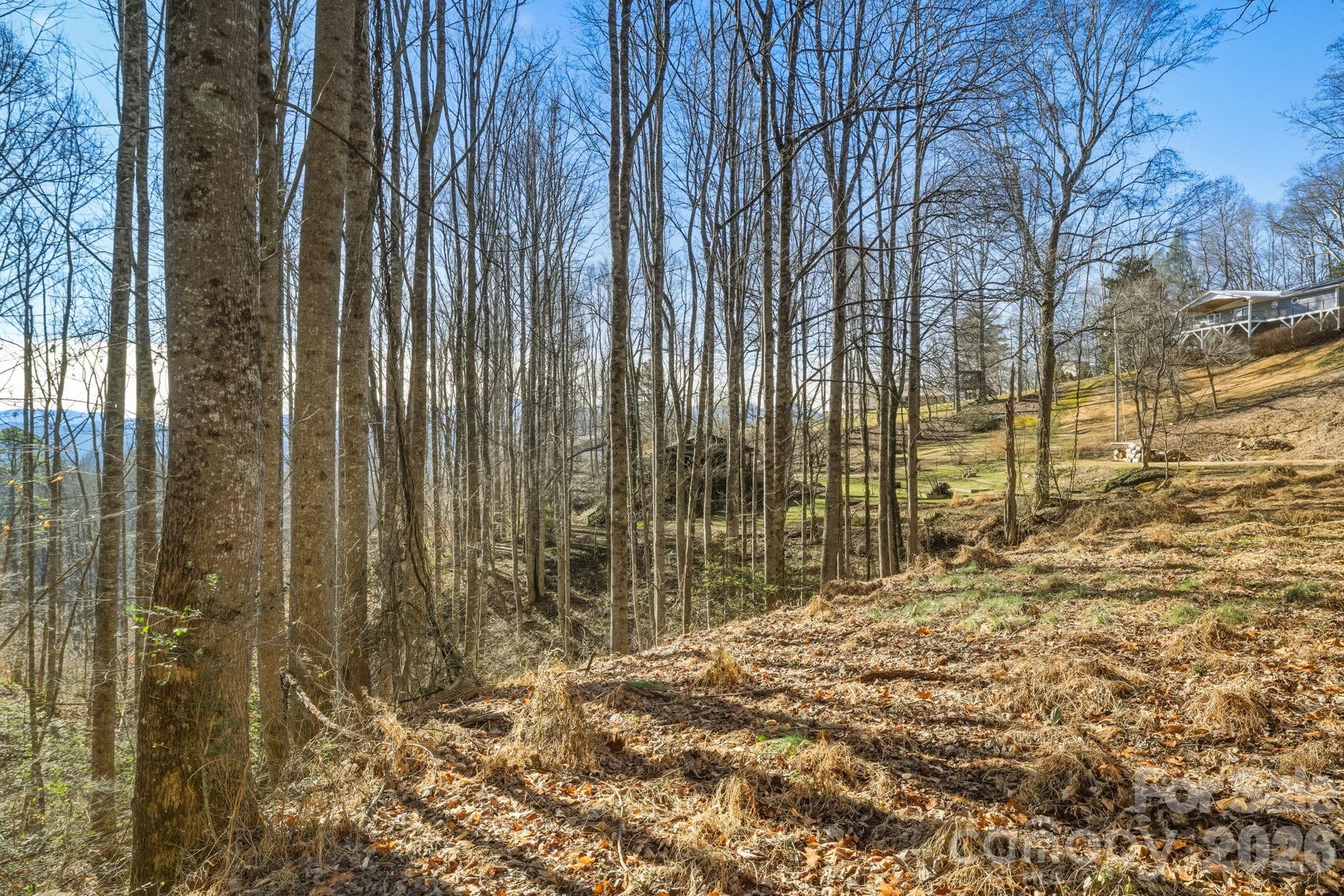 000 Briarwood Road Webster NC 28788