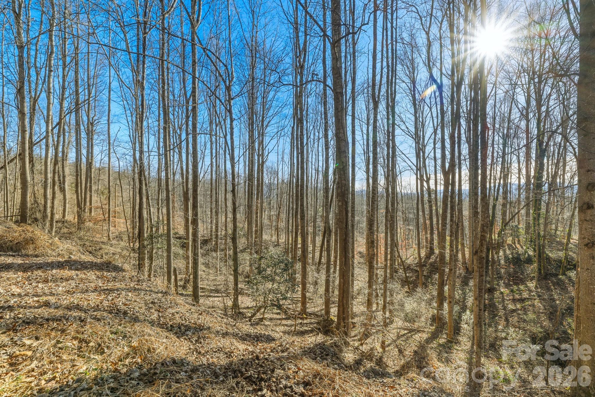 000 Briarwood Road Webster NC 28788