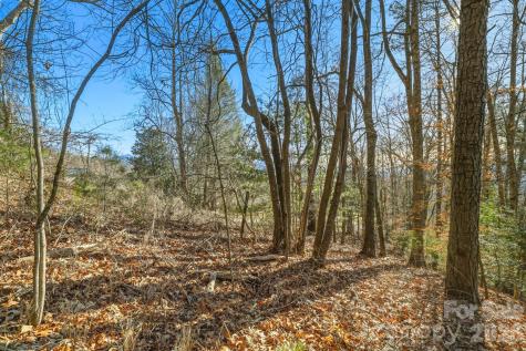 000 Briarwood Road Webster NC 28788