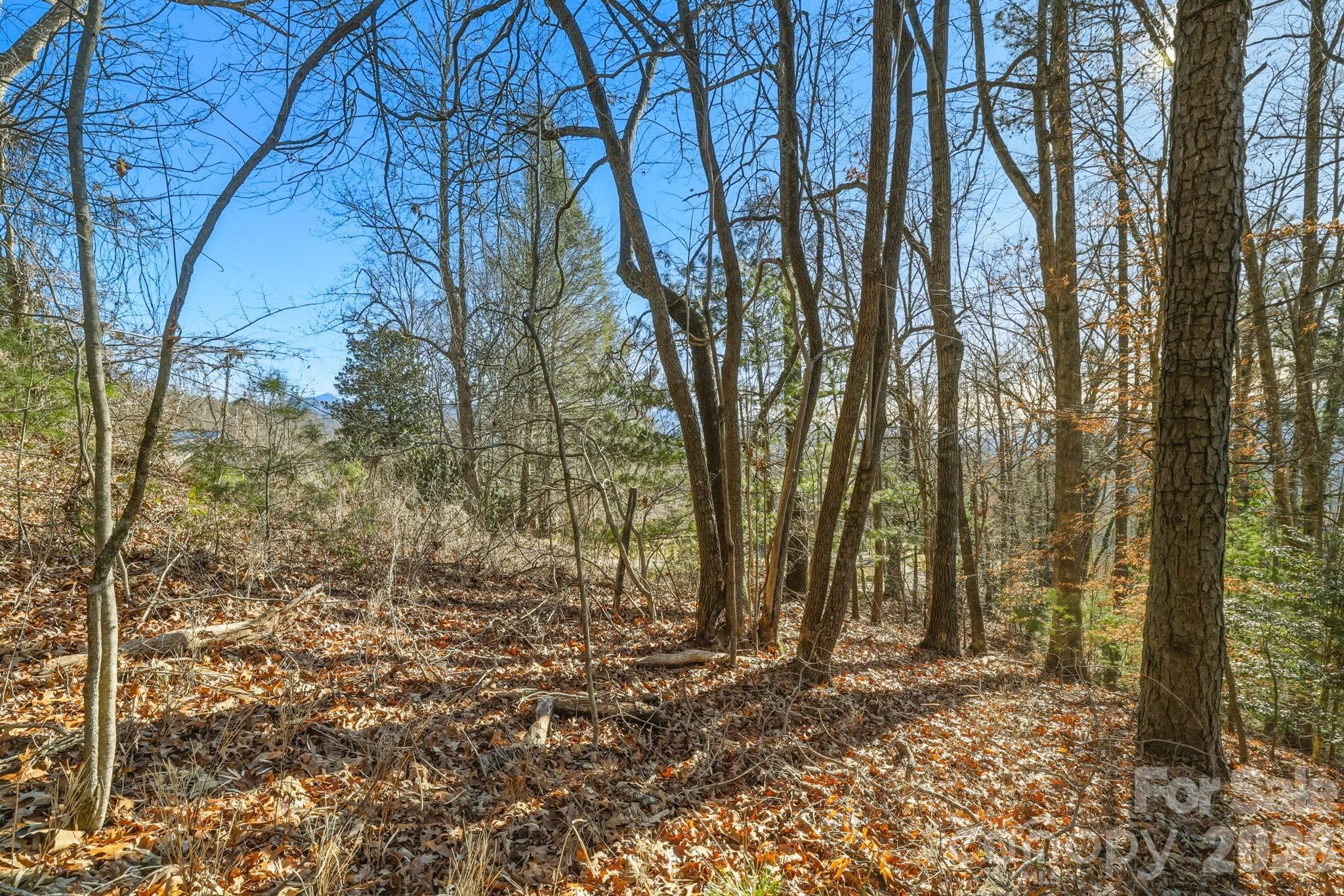 000 Briarwood Road Webster NC 28788