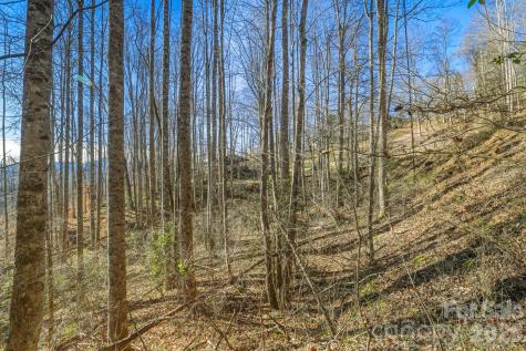 000 Briarwood Road Webster NC 28788