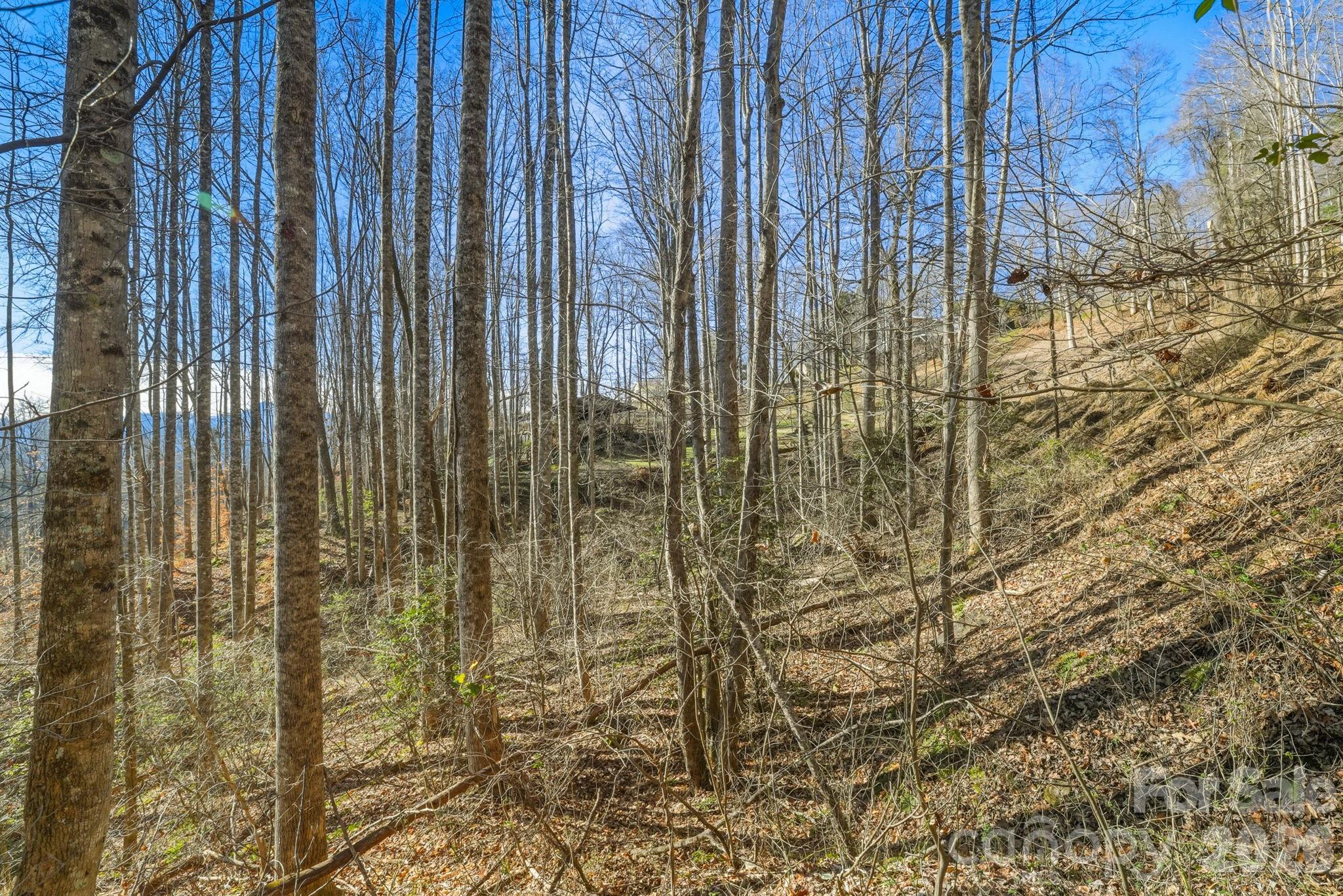 000 Briarwood Road Webster NC 28788