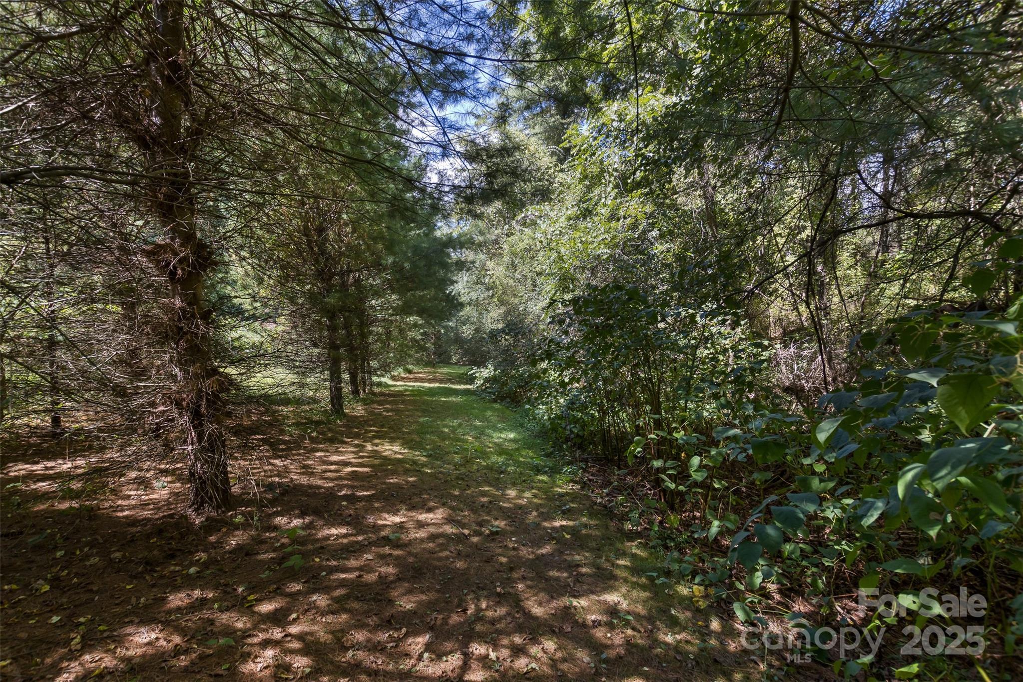 99999 Rocky Hollow Weaverville NC 28787