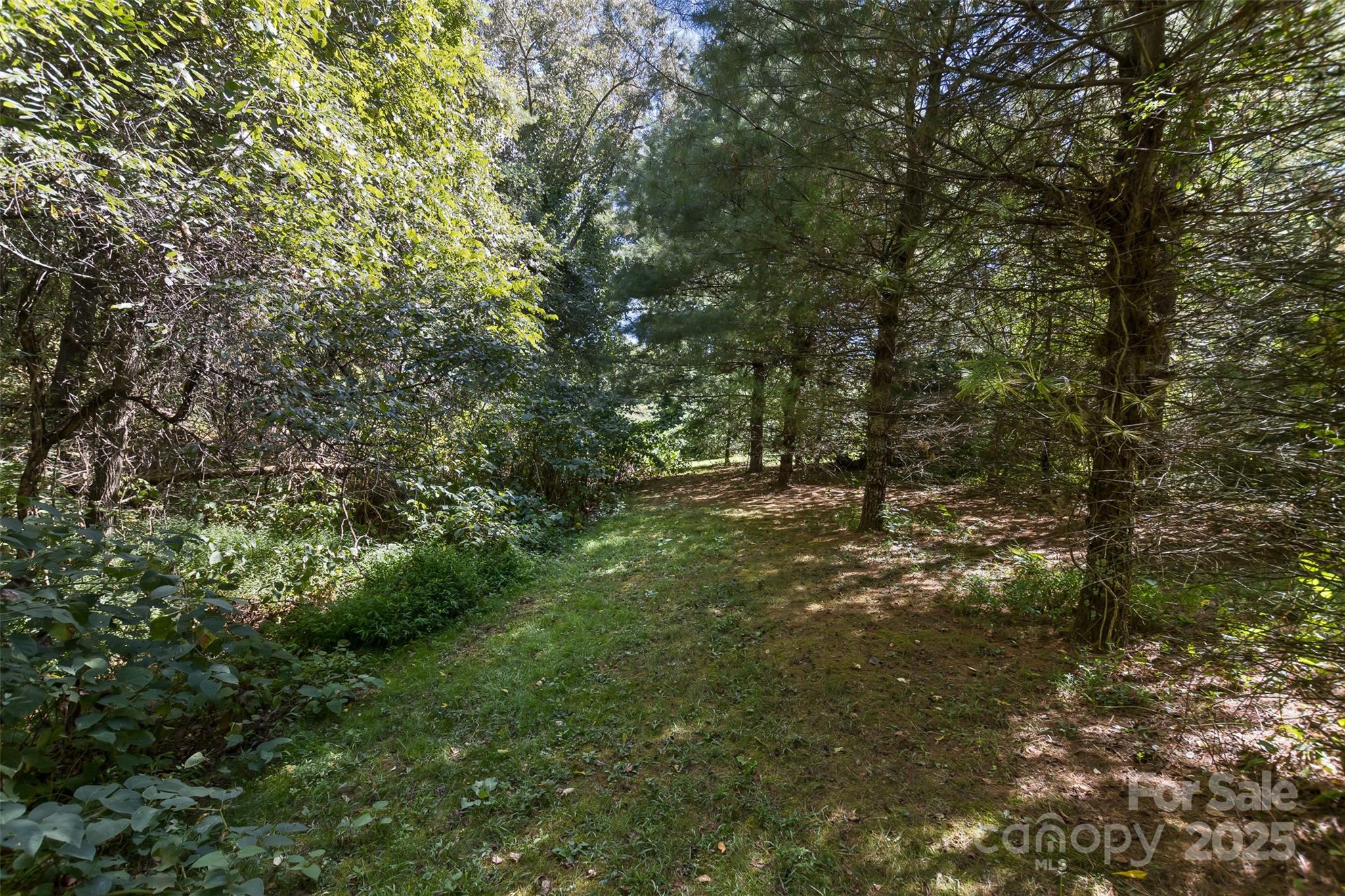 99999 Rocky Hollow Weaverville NC 28787