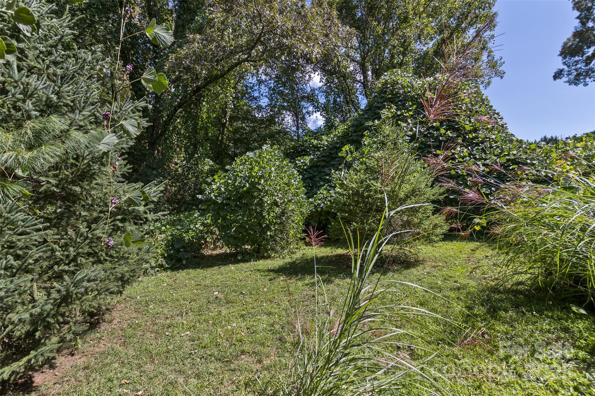 99999 Rocky Hollow Weaverville NC 28787