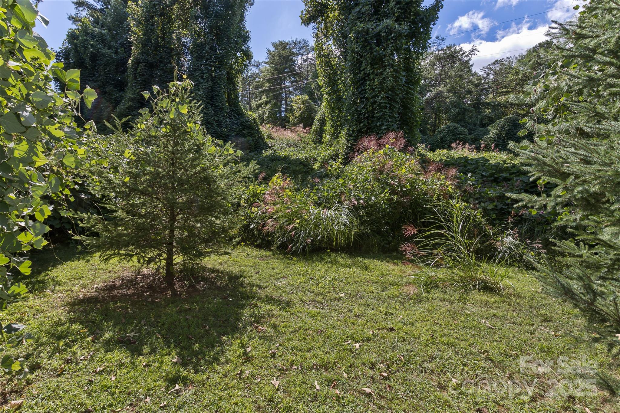 99999 Rocky Hollow Weaverville NC 28787
