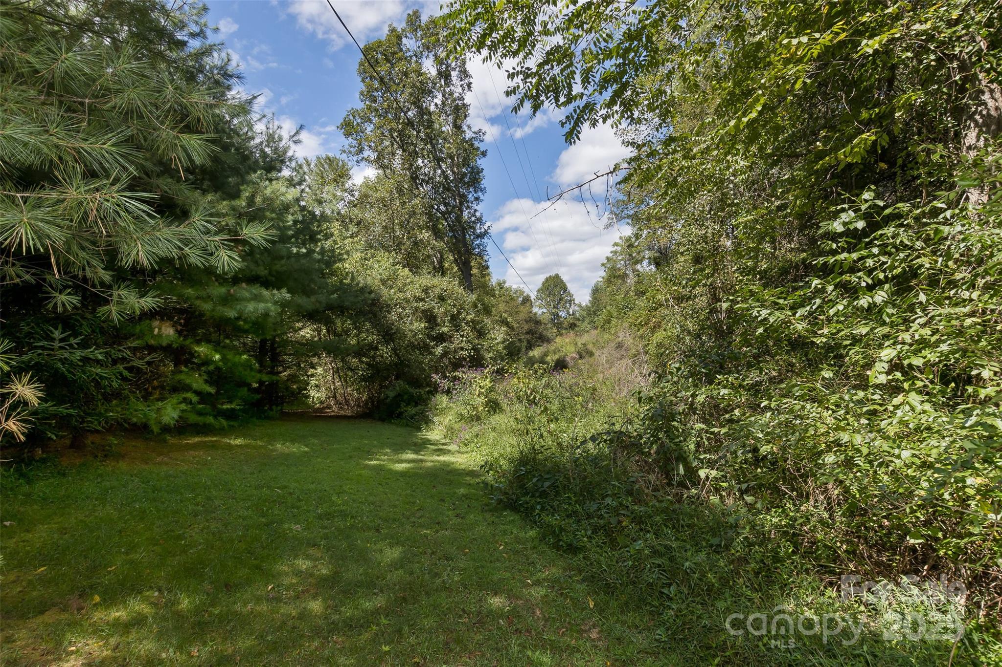 99999 Rocky Hollow Weaverville NC 28787