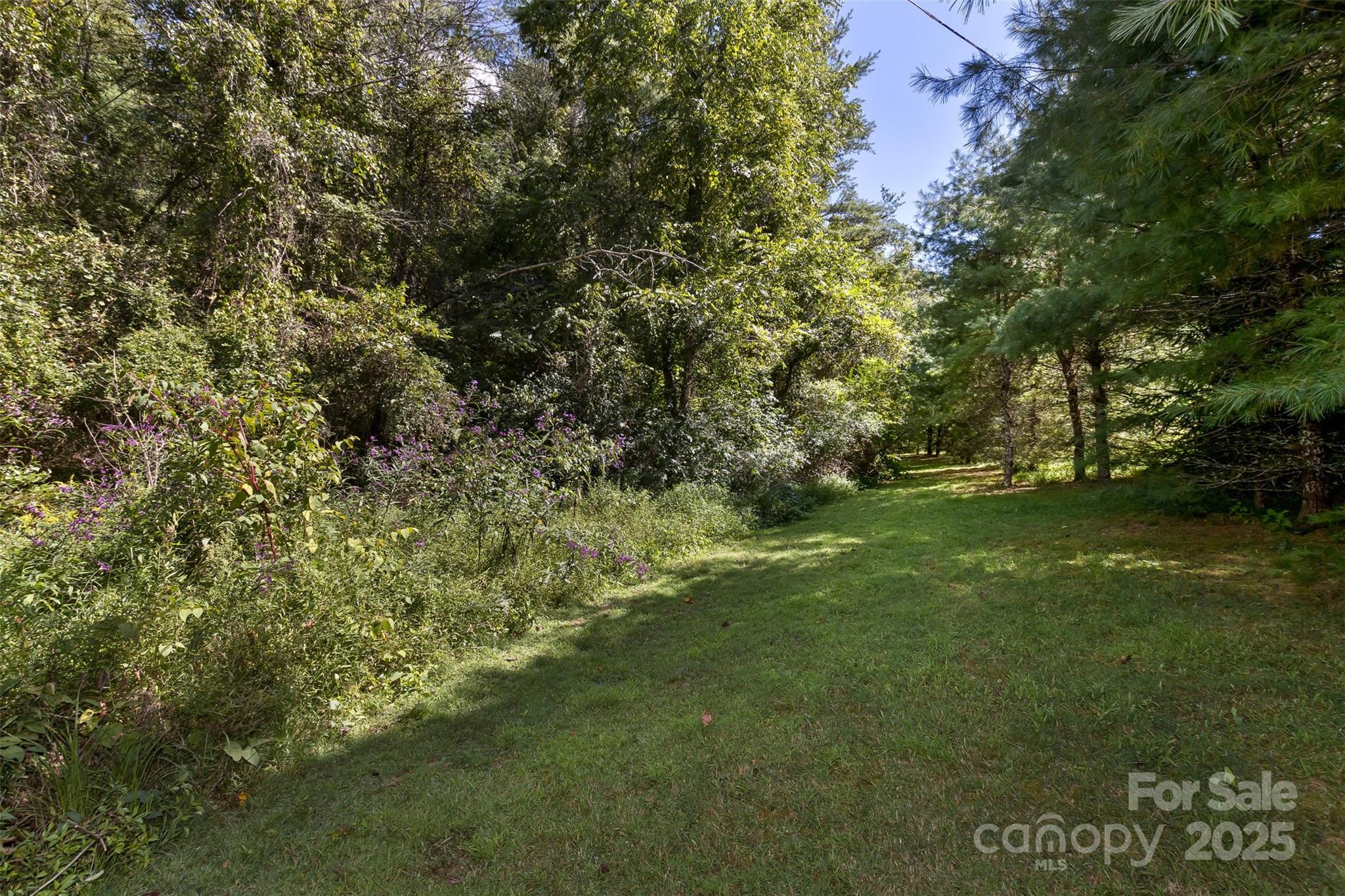 99999 Rocky Hollow Weaverville NC 28787