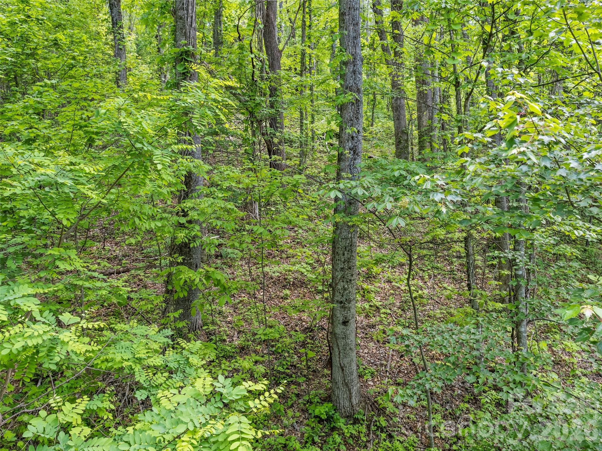 0000 Presidential Drive Waynesville NC 28786