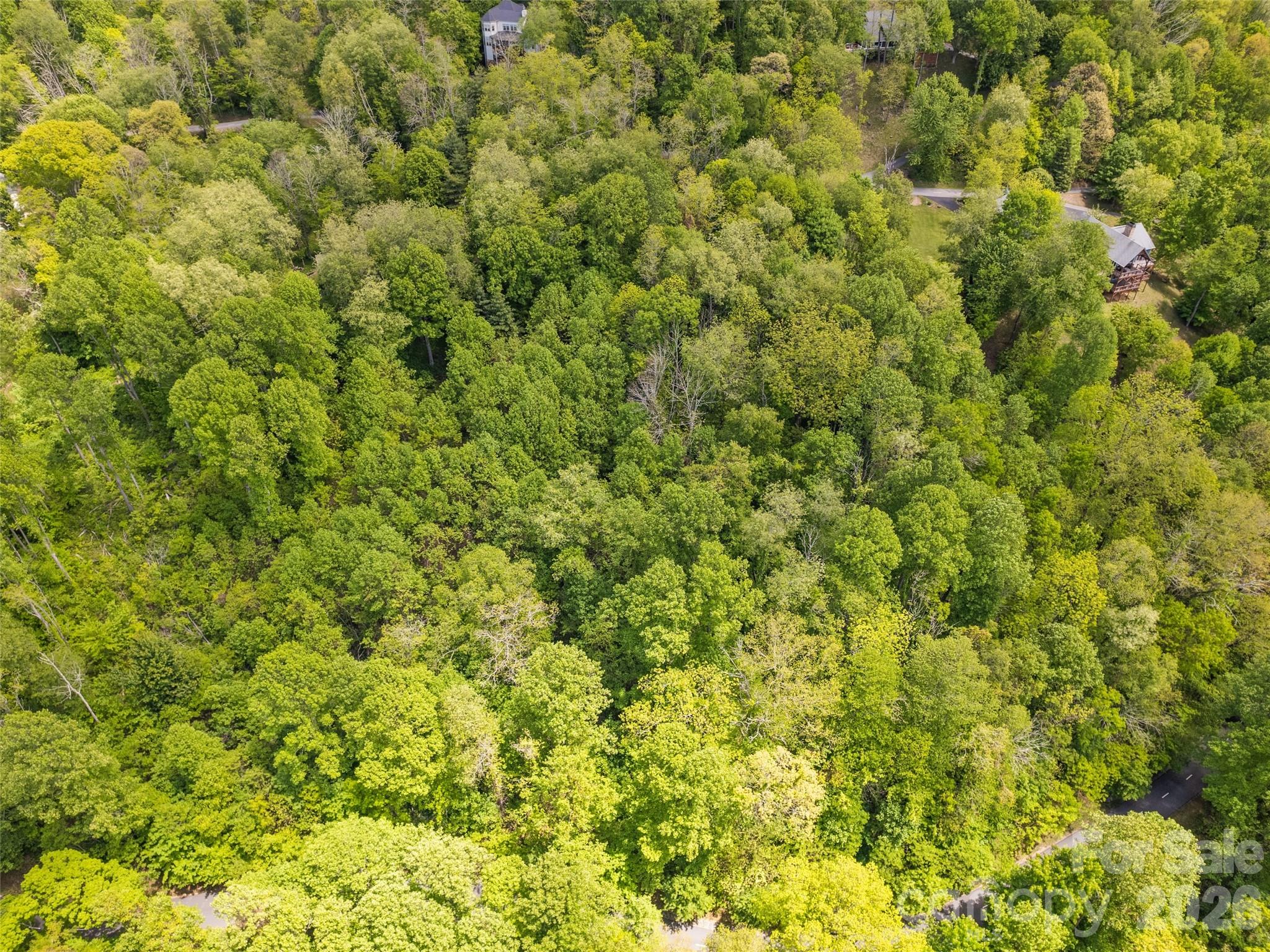 0000 Presidential Drive Waynesville NC 28786