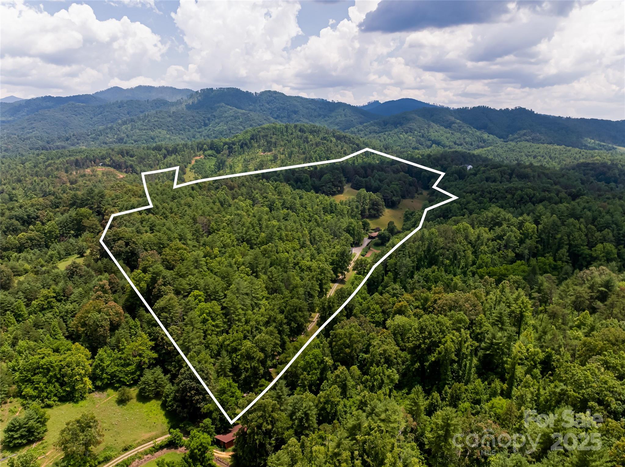 25 Elkins Branch Road Weaverville NC 28787