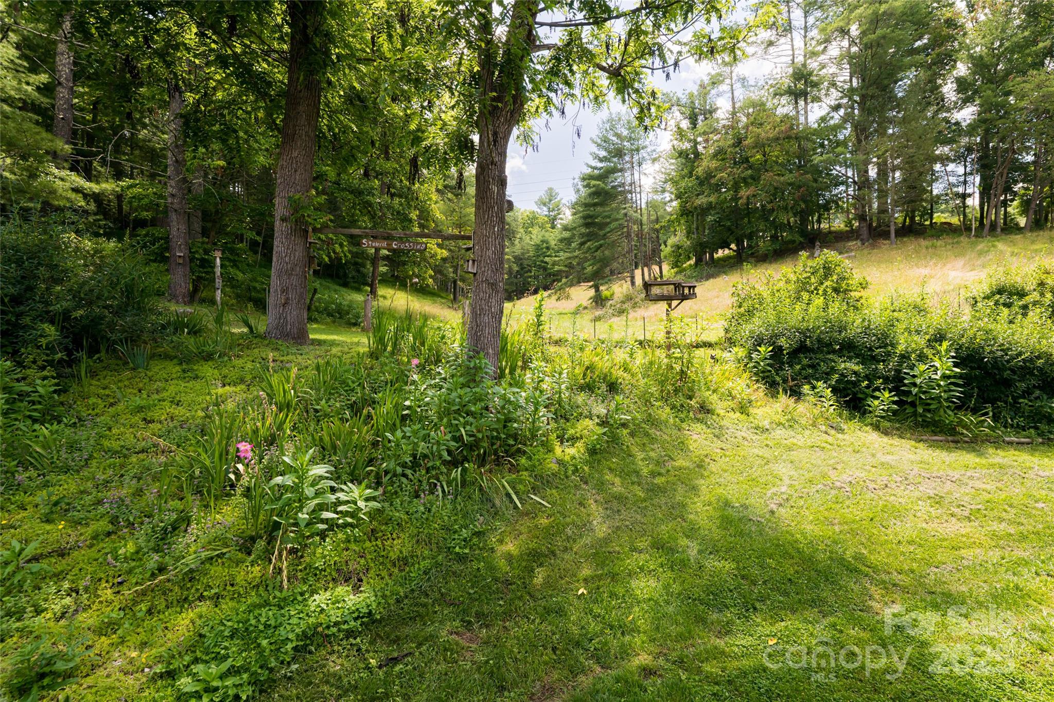 25 Elkins Branch Road Weaverville NC 28787