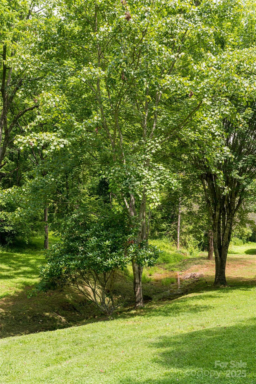 25 Elkins Branch Road Weaverville NC 28787