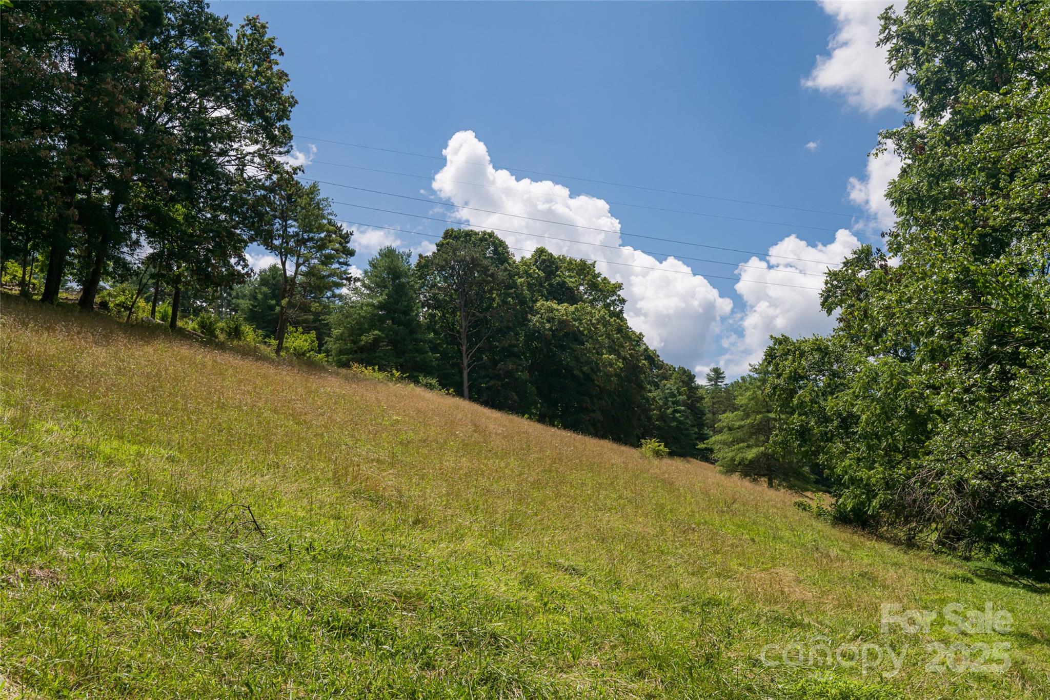 25 Elkins Branch Road Weaverville NC 28787