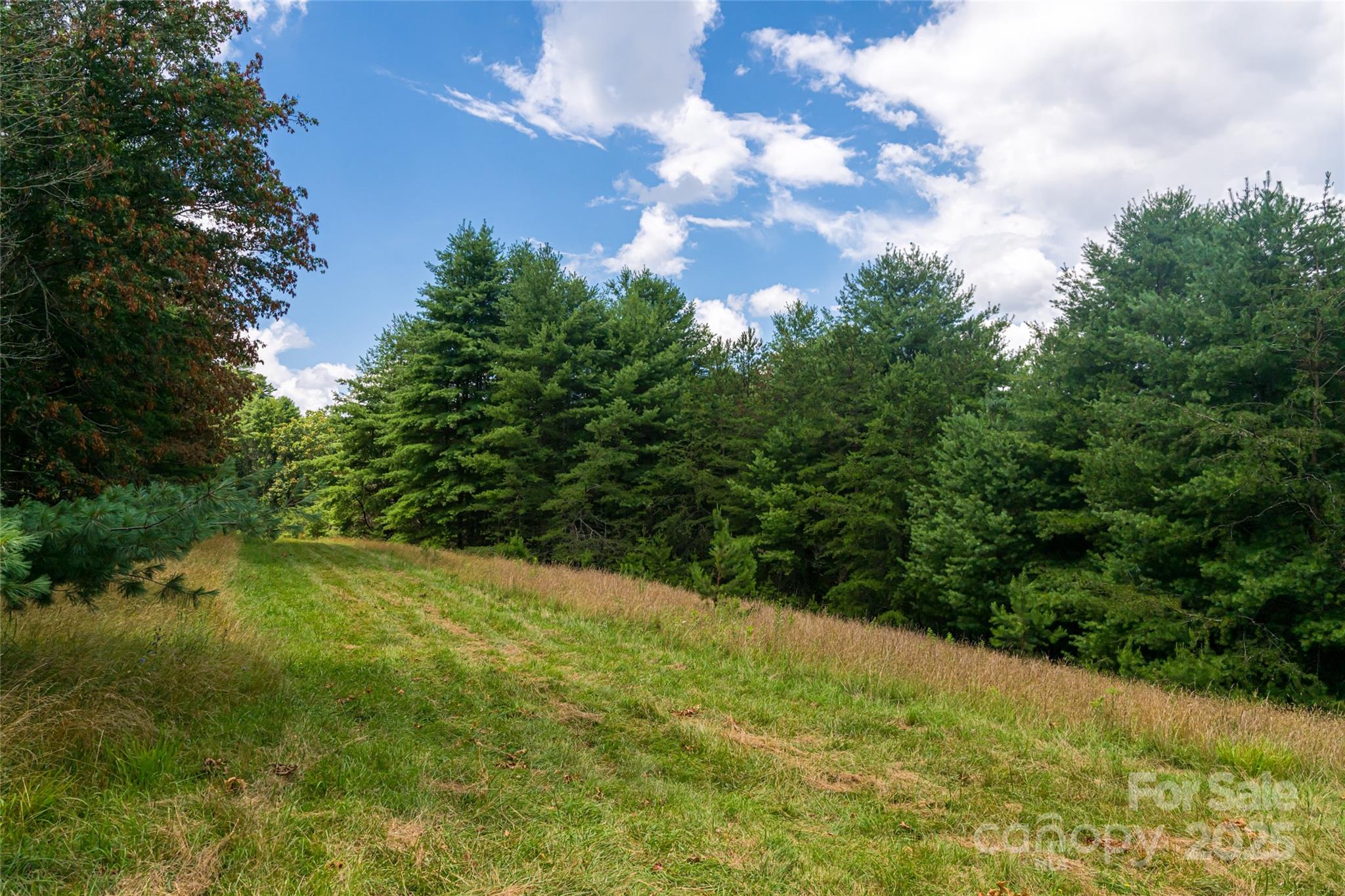 25 Elkins Branch Road Weaverville NC 28787