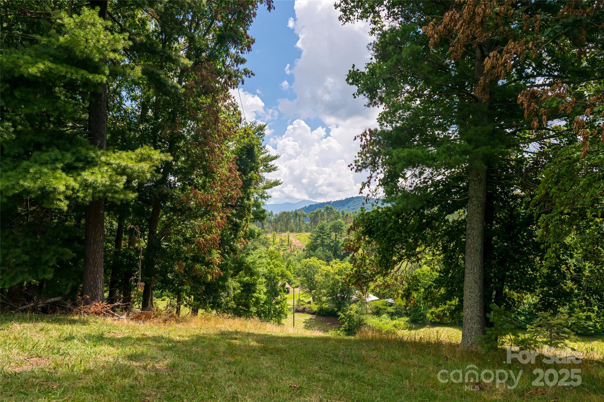 25 Elkins Branch Road Weaverville NC 28787