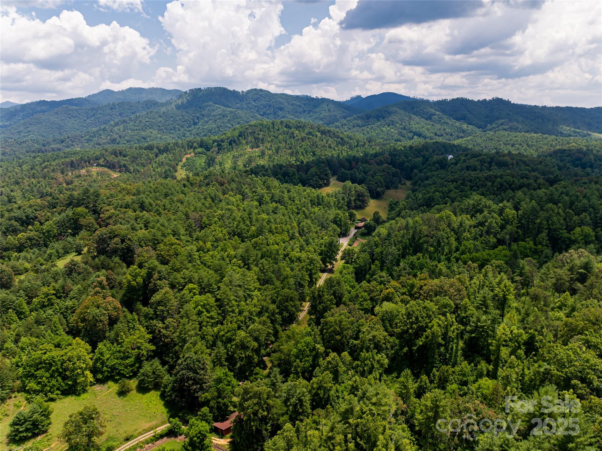 25 Elkins Branch Road Weaverville NC 28787