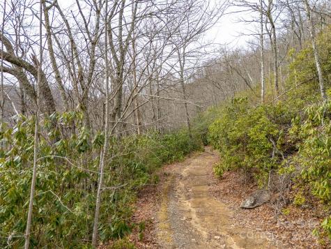 Lot 111 Cranberry Creek Road Maggie Valley NC 28751